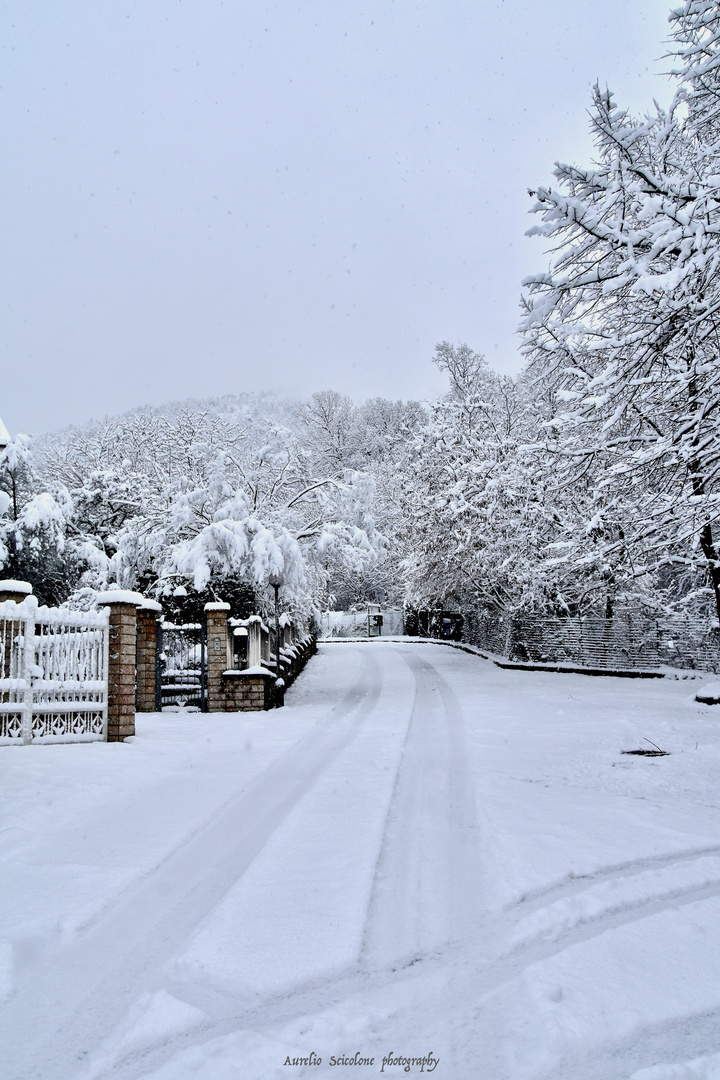 Nevicata mattutina