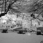 Nevicata sul Gargano (M.S.A.)