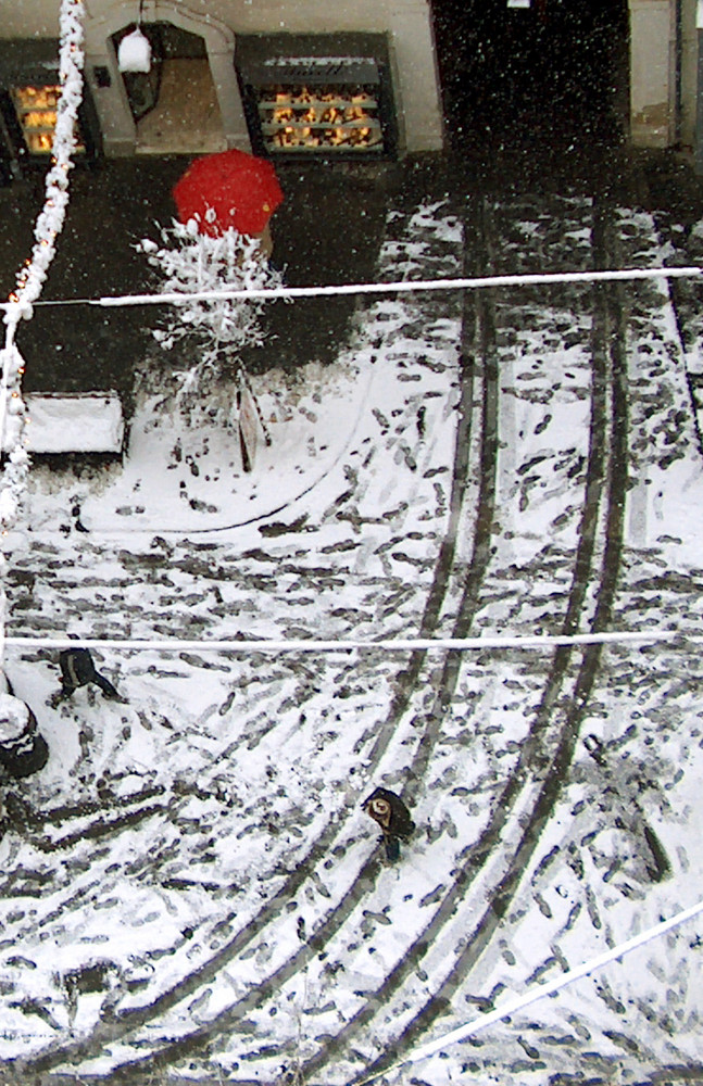 Nevicata vista dal mio balcone