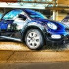 New Beetle