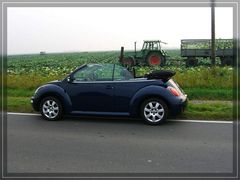 New Beetle Cabrio