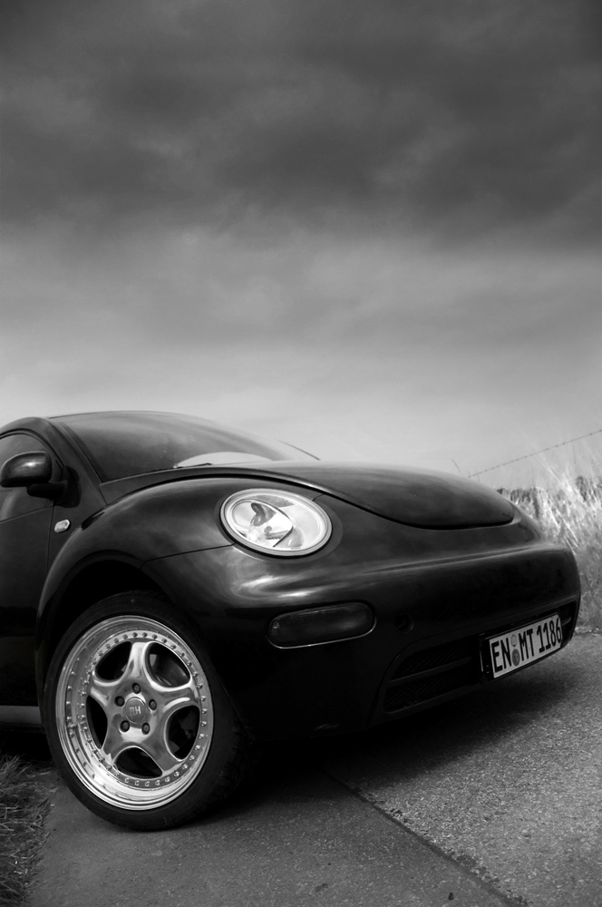 New Beetle Nr.3