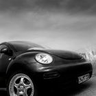 New Beetle Nr.3