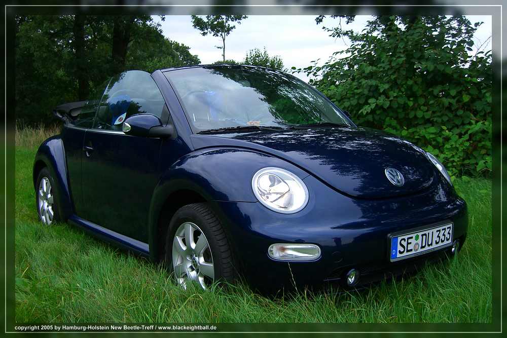 New Beetle weich gebettet