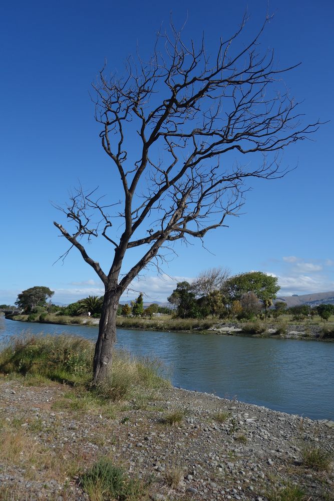 New Brighton, Christchurch, NZ