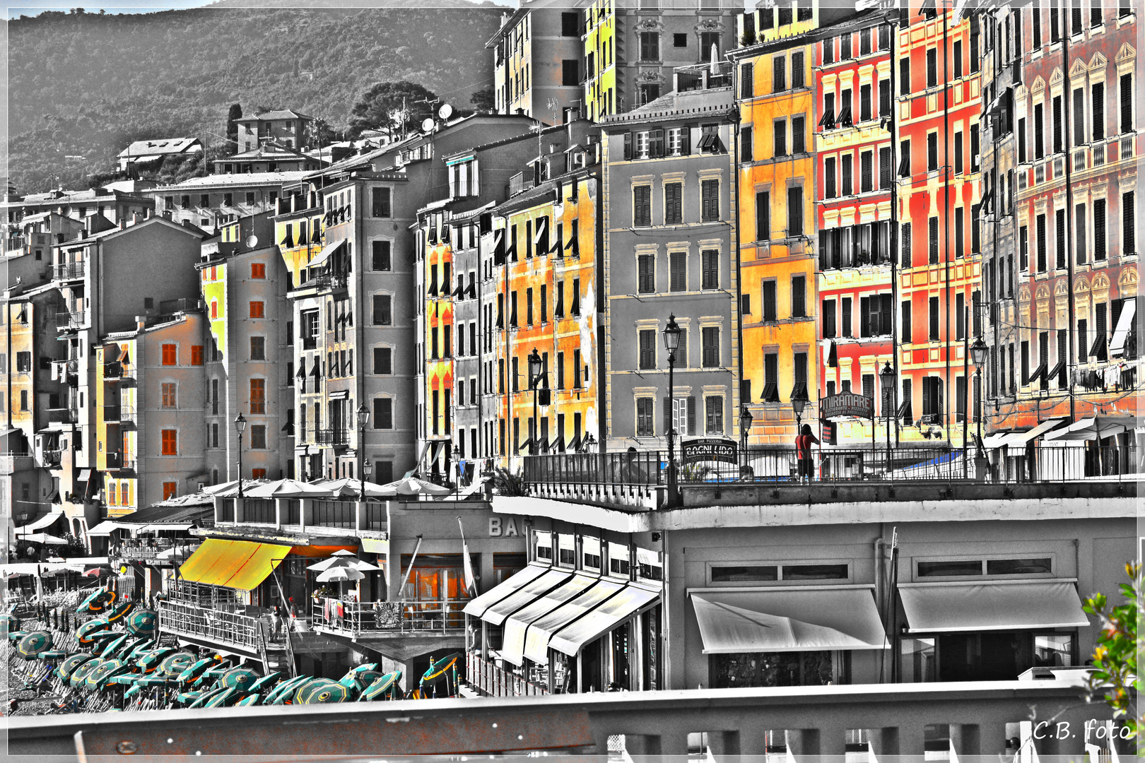 New Camogli