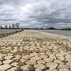 New dike near Batenburg (Netherlands) along the Maas