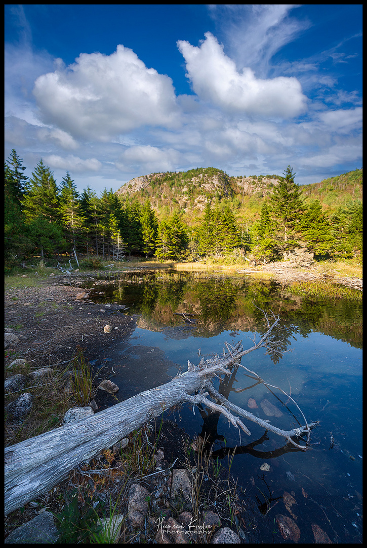 New England 2011