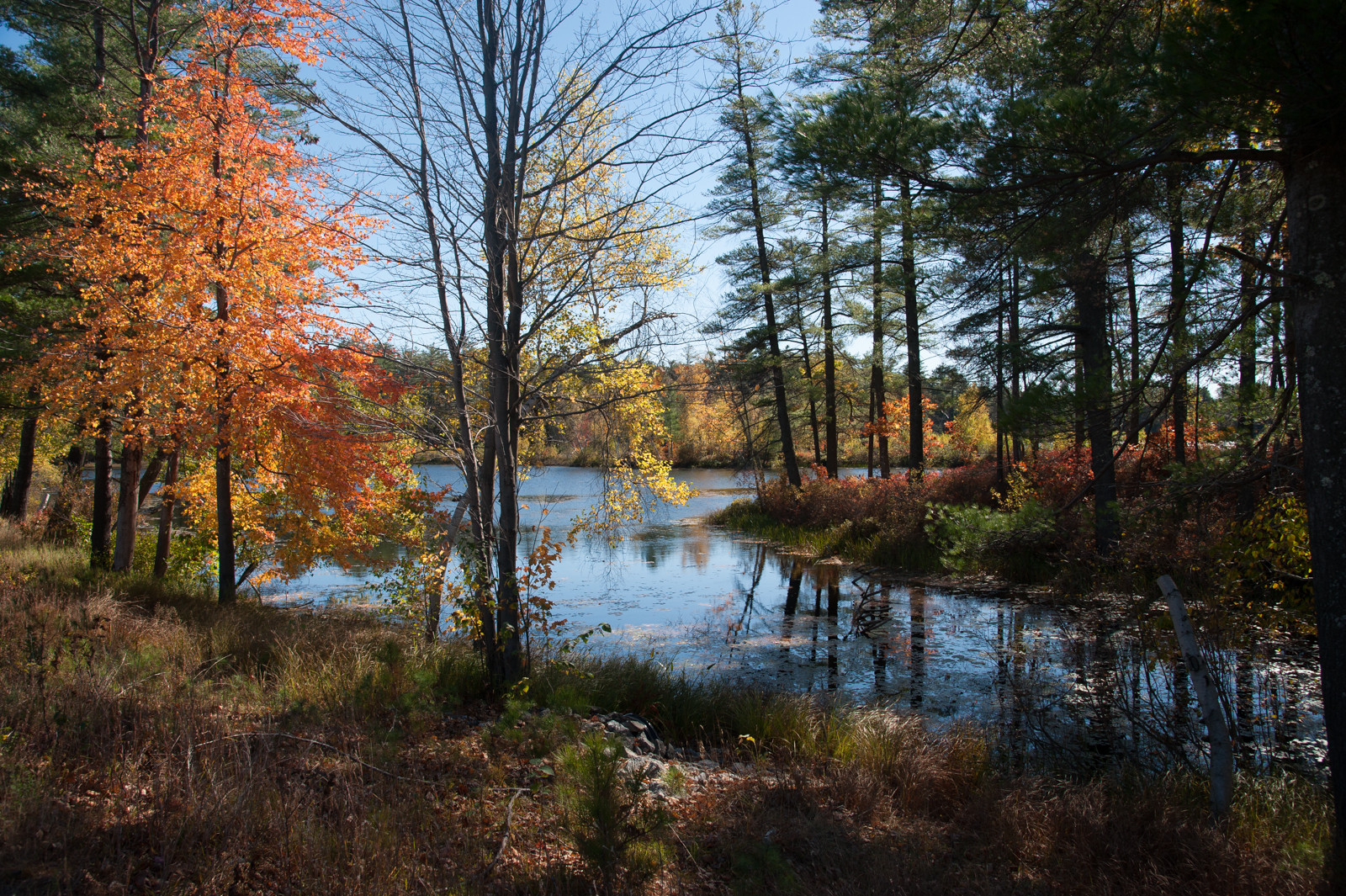 New England