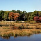 New England & Indian Summer