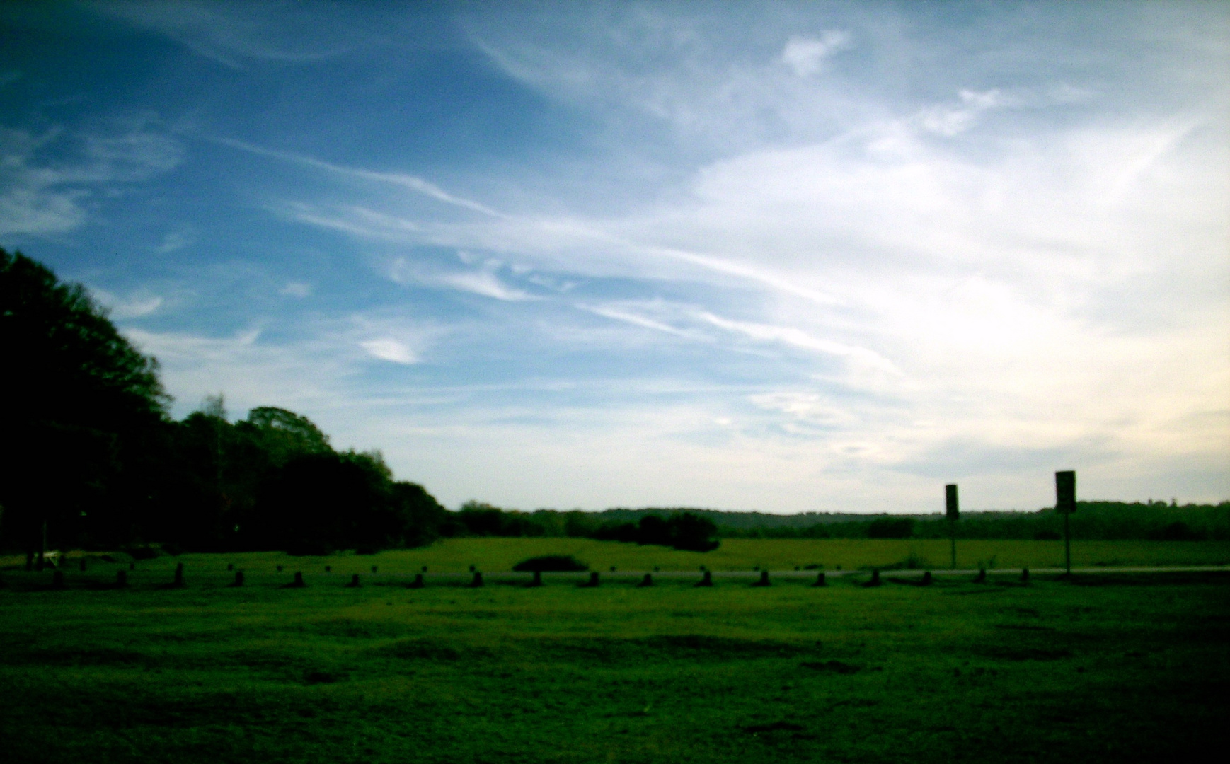 New Forest #1