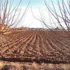 New furrows