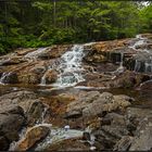 New Hampshire | Cascade Trail |