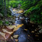 New Hampshire  | Harvard Brook |