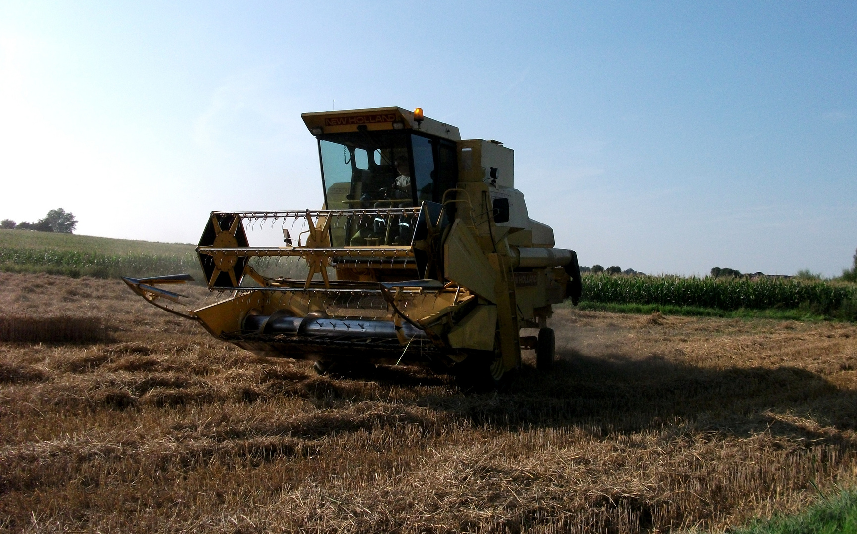 NEW HOLLAND