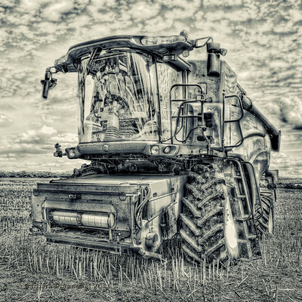 New Holland