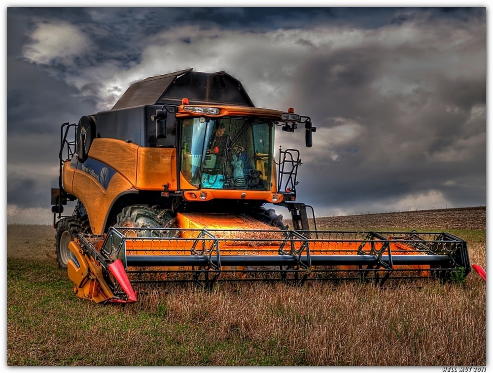 New Holland