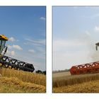 >> New Holland CSX 7080 vs. Claas Lexion 570 <<<