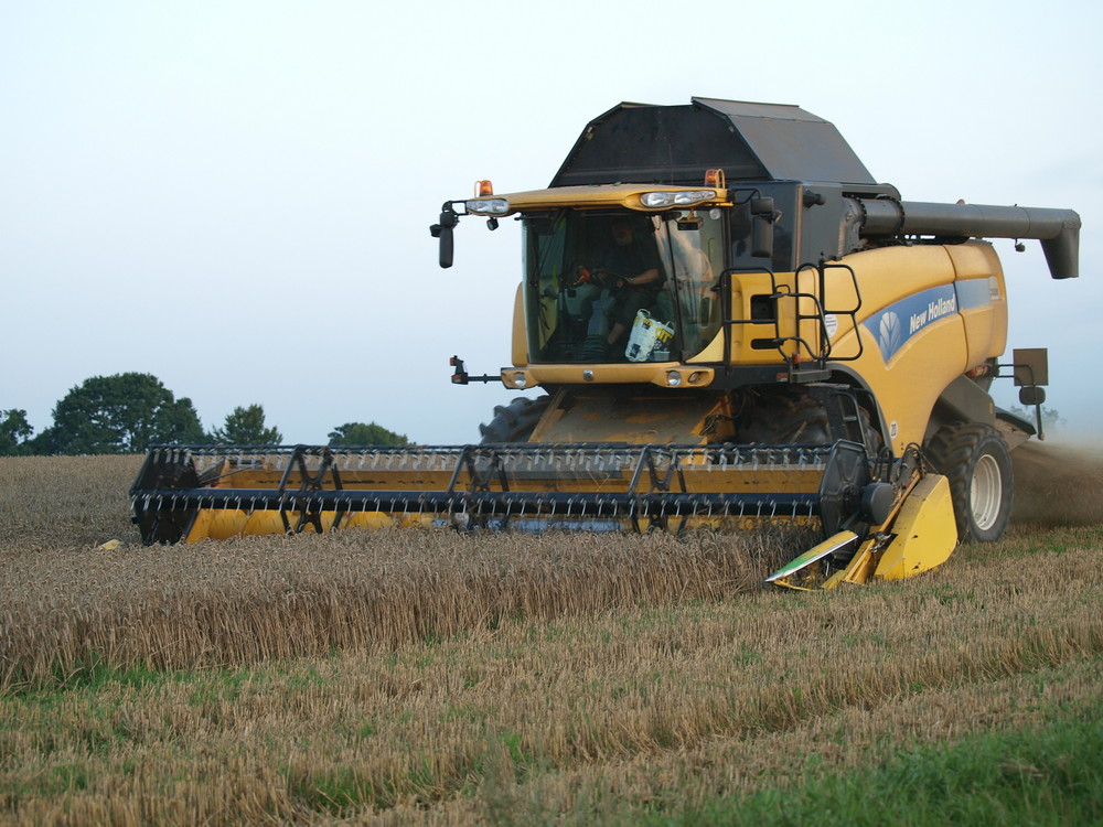 NEW HOLLAND  CX 880 in Quarnbek Reimershof im Einsatz