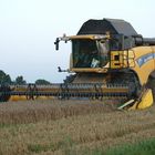 NEW HOLLAND  CX 880 in Quarnbek Reimershof im Einsatz