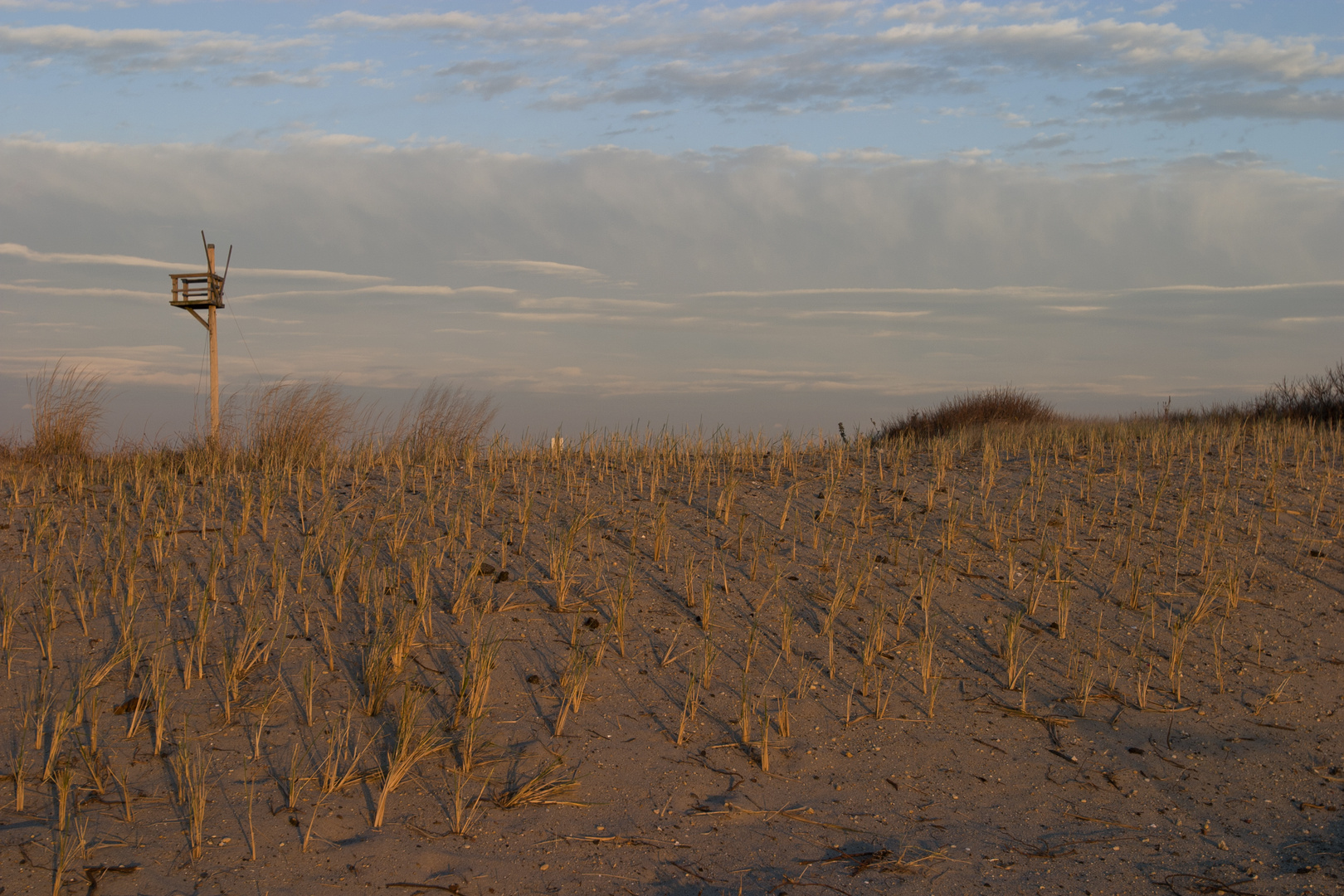 New Jersey Beach in der Abenddämmerung