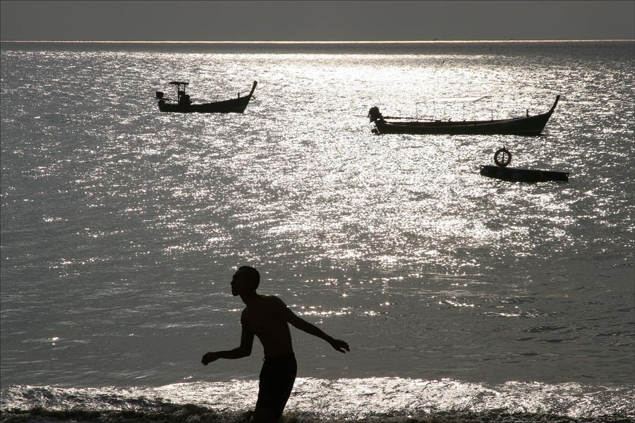 . . . new life wakes up in khao lak . . .