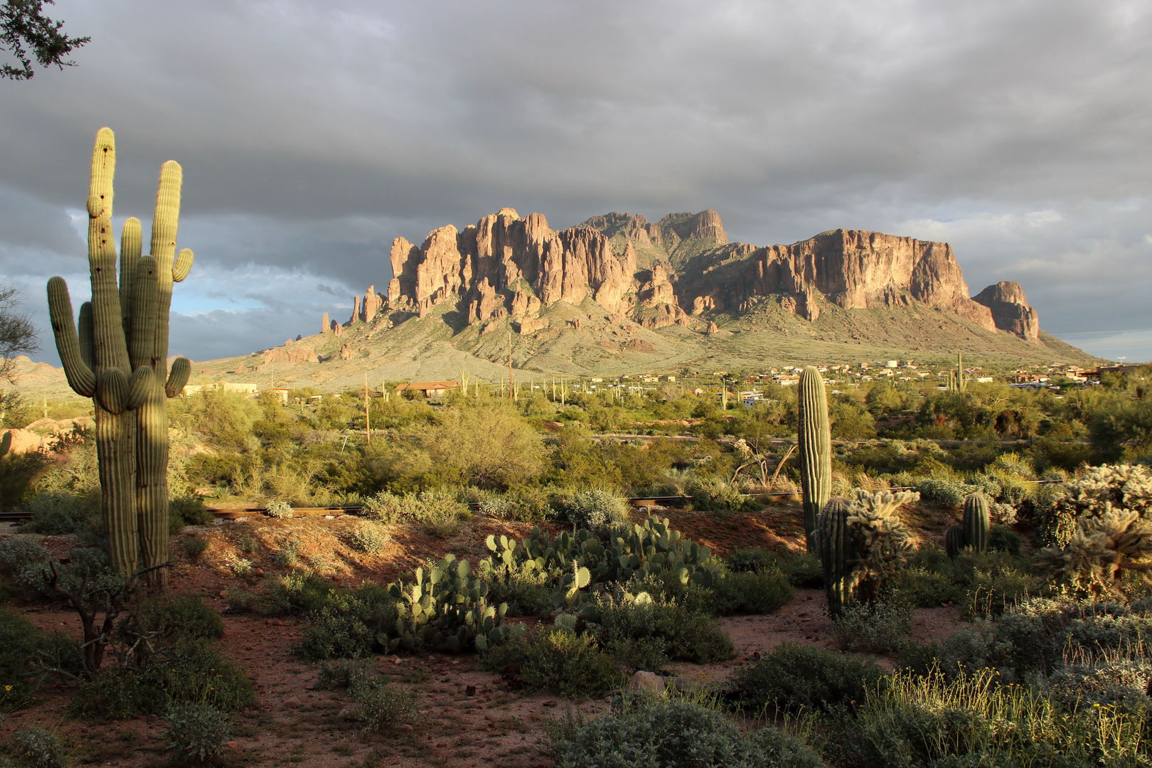 New Mexico