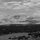 New Mexico Desert