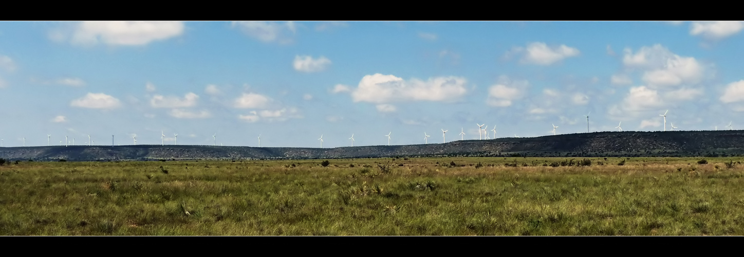 New Mexico Going Green