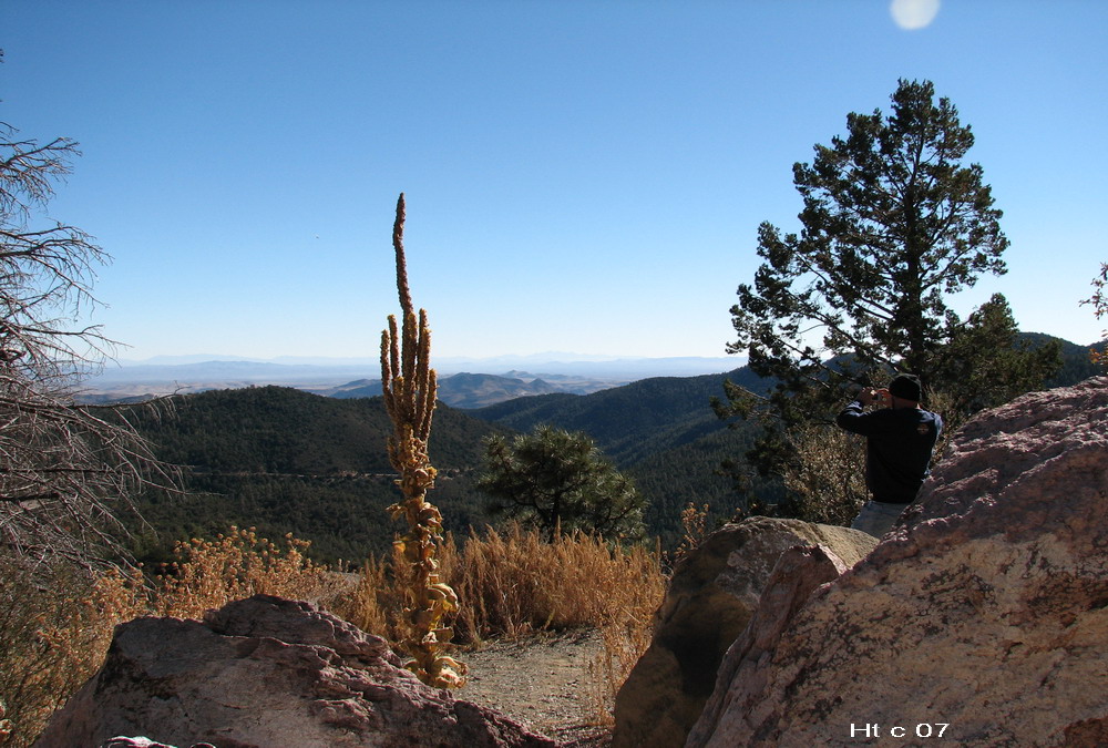 New Mexico near Silver City