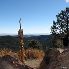 New Mexico near Silver City