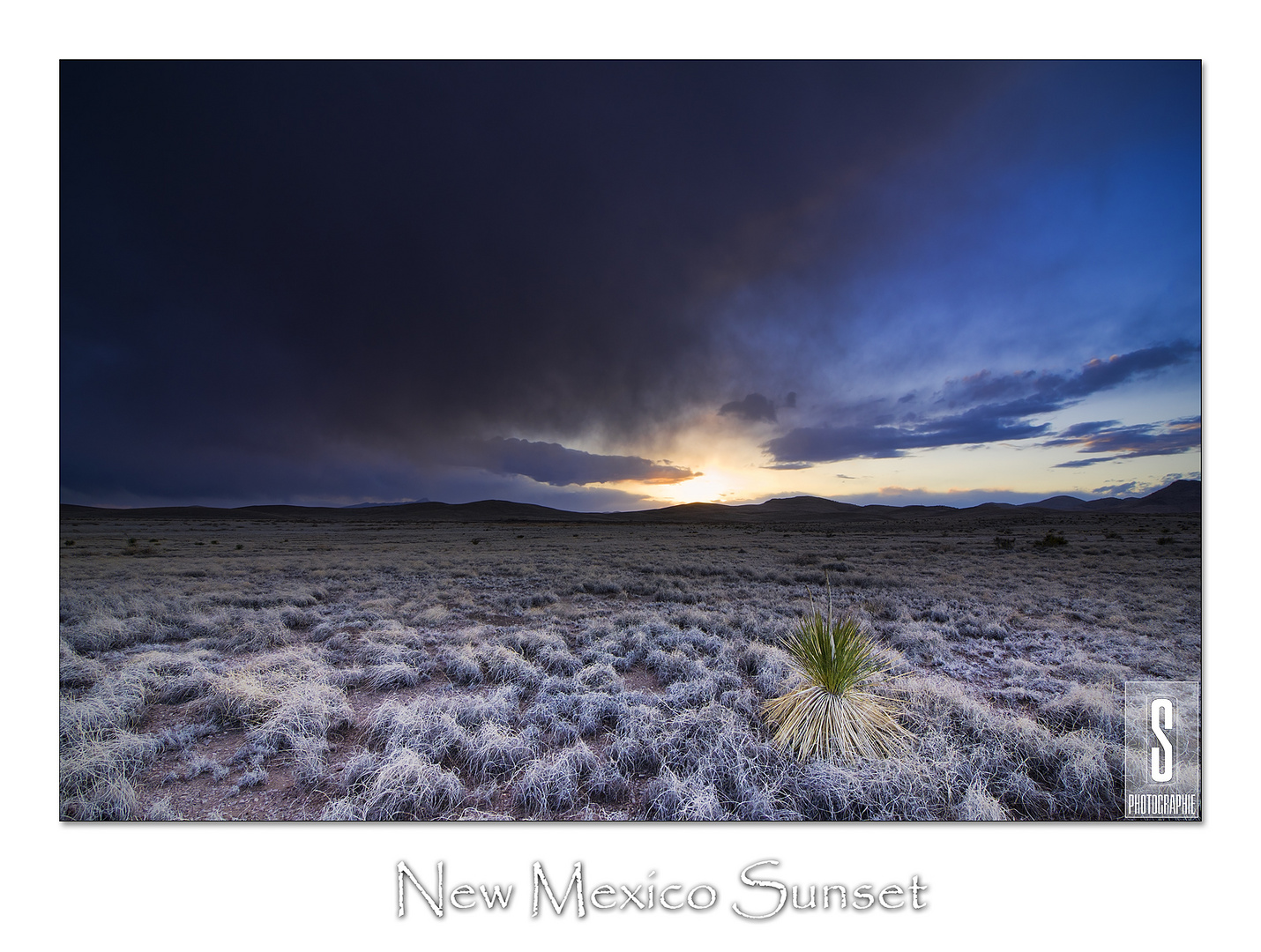 New Mexico Sunset