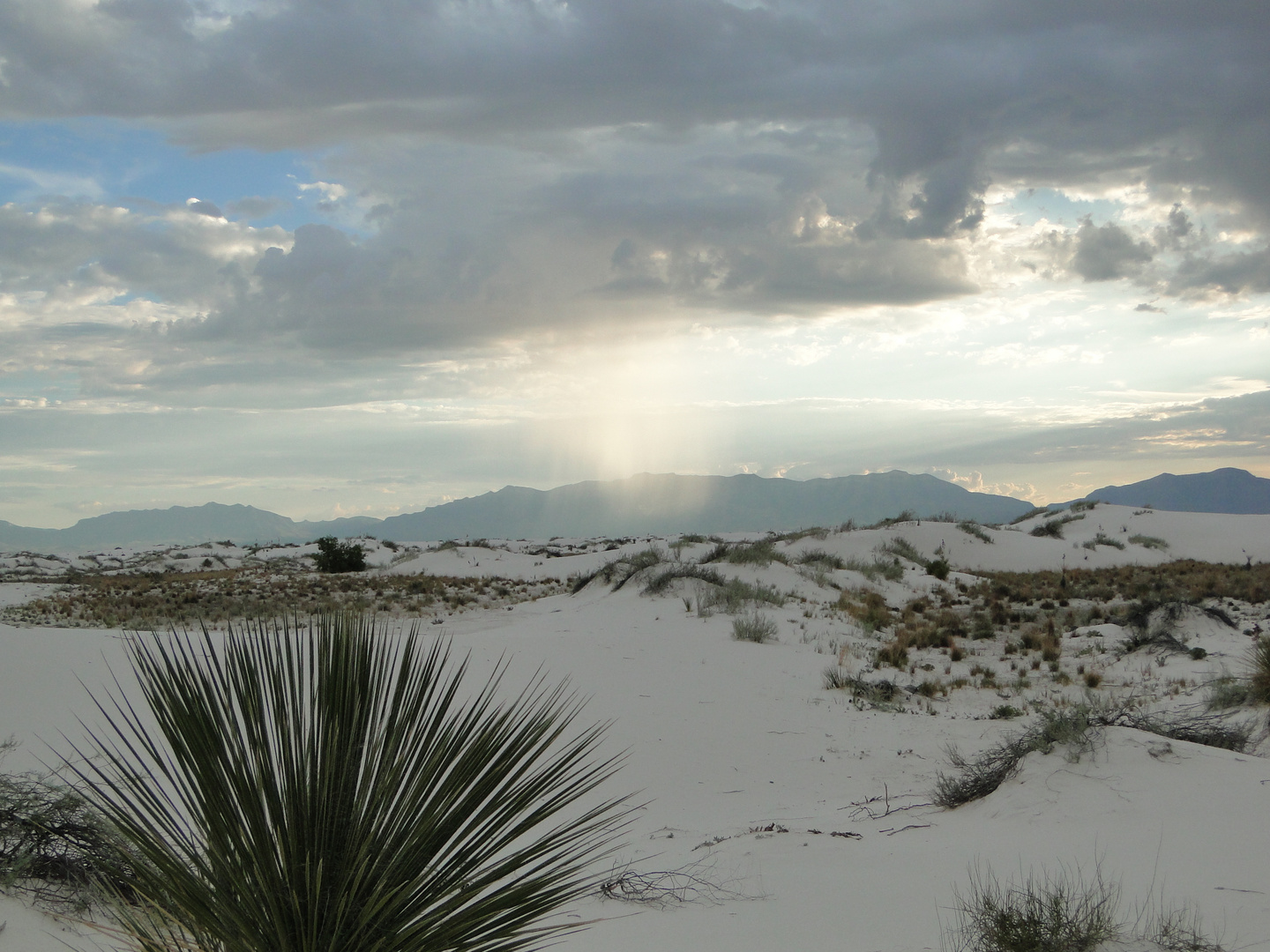 New Mexico - White Sands