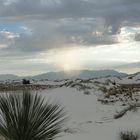 New Mexico - White Sands