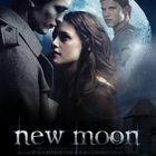 new moon