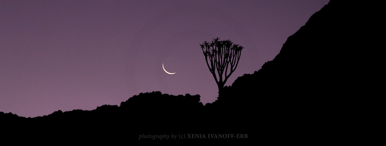 New Moon over the Namib Desert