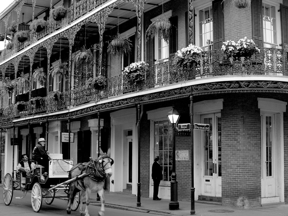 New Orleans