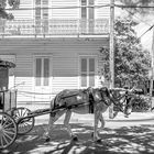 New Orleans - French Quarter  II