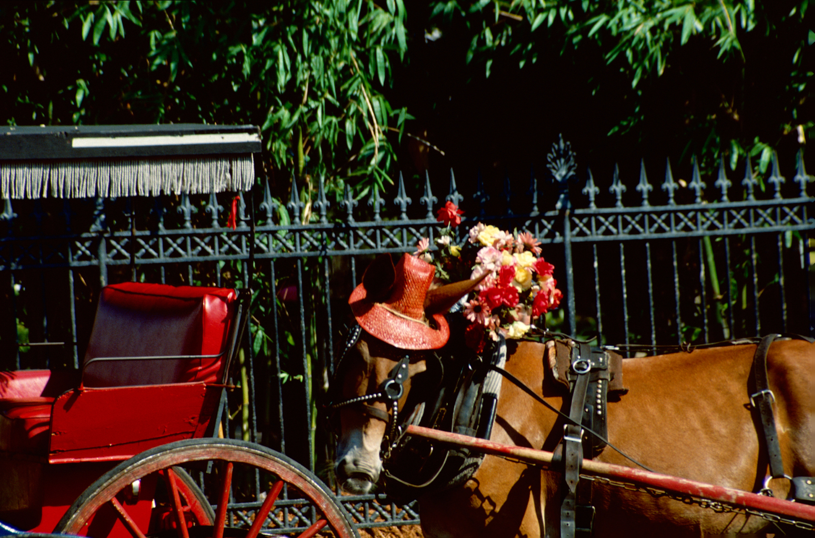 New Orleans, LA - 1988