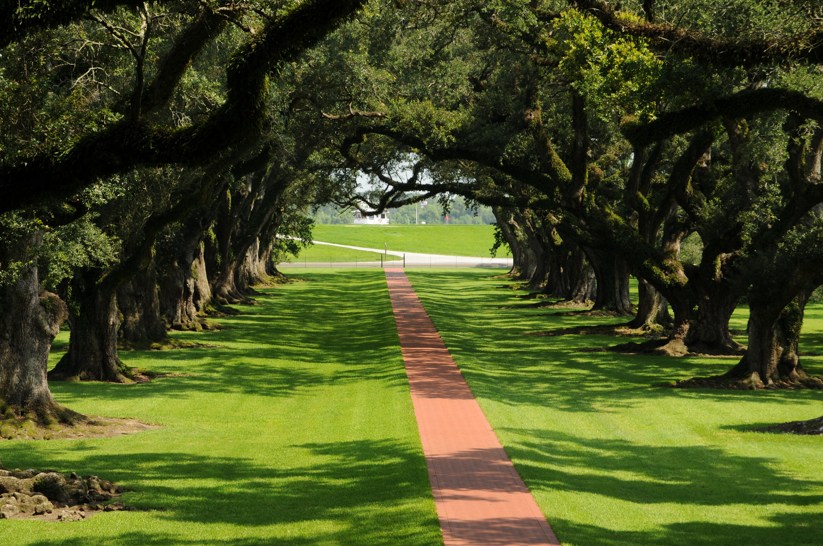 New Orleans: Viale