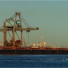 NEW SHANGHAI, Bulk Carrier, Rotterdam.