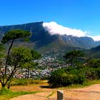 New Upload - Table Mountain 12 Apostel und Lion's Head mit Mützchen