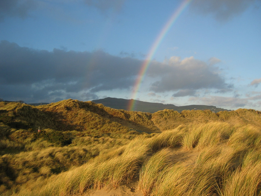 New Year´s at the Irish Coast (I)