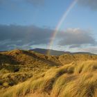 New Year´s at the Irish Coast (I)