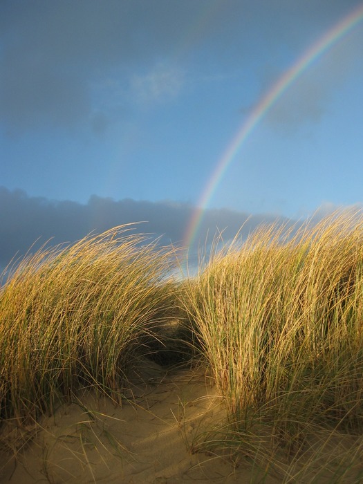 New Year´s at the Irish Coast (II)