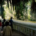 New Year's walk over Naga bridge at Wat Kham Chanot