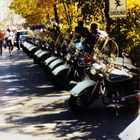 New York 1977 Marathon Play Ground