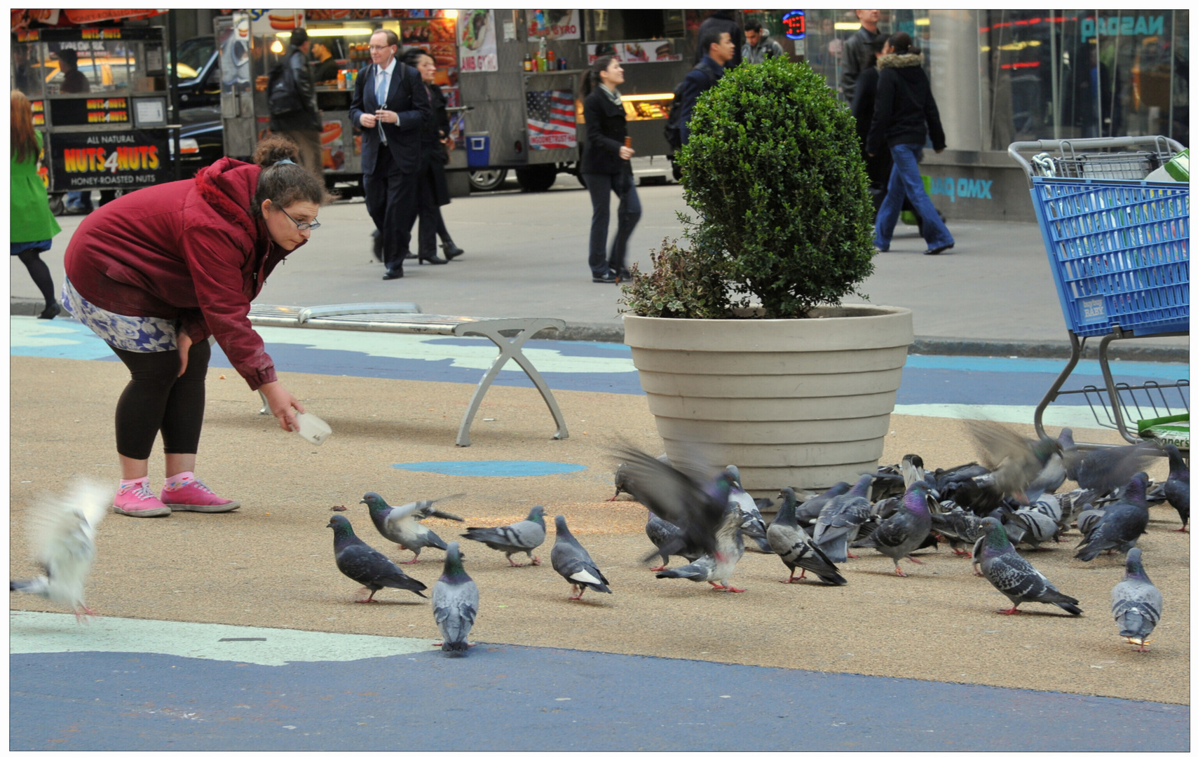 New York 2011, una chica, dando la comida a las palomas