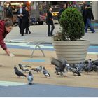 New York 2011, una chica, dando la comida a las palomas