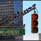 New York 2015 - Broadway traffic lights